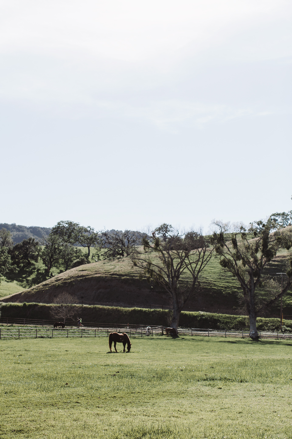 the perfect family getaway: alisal ranch in santa ynez