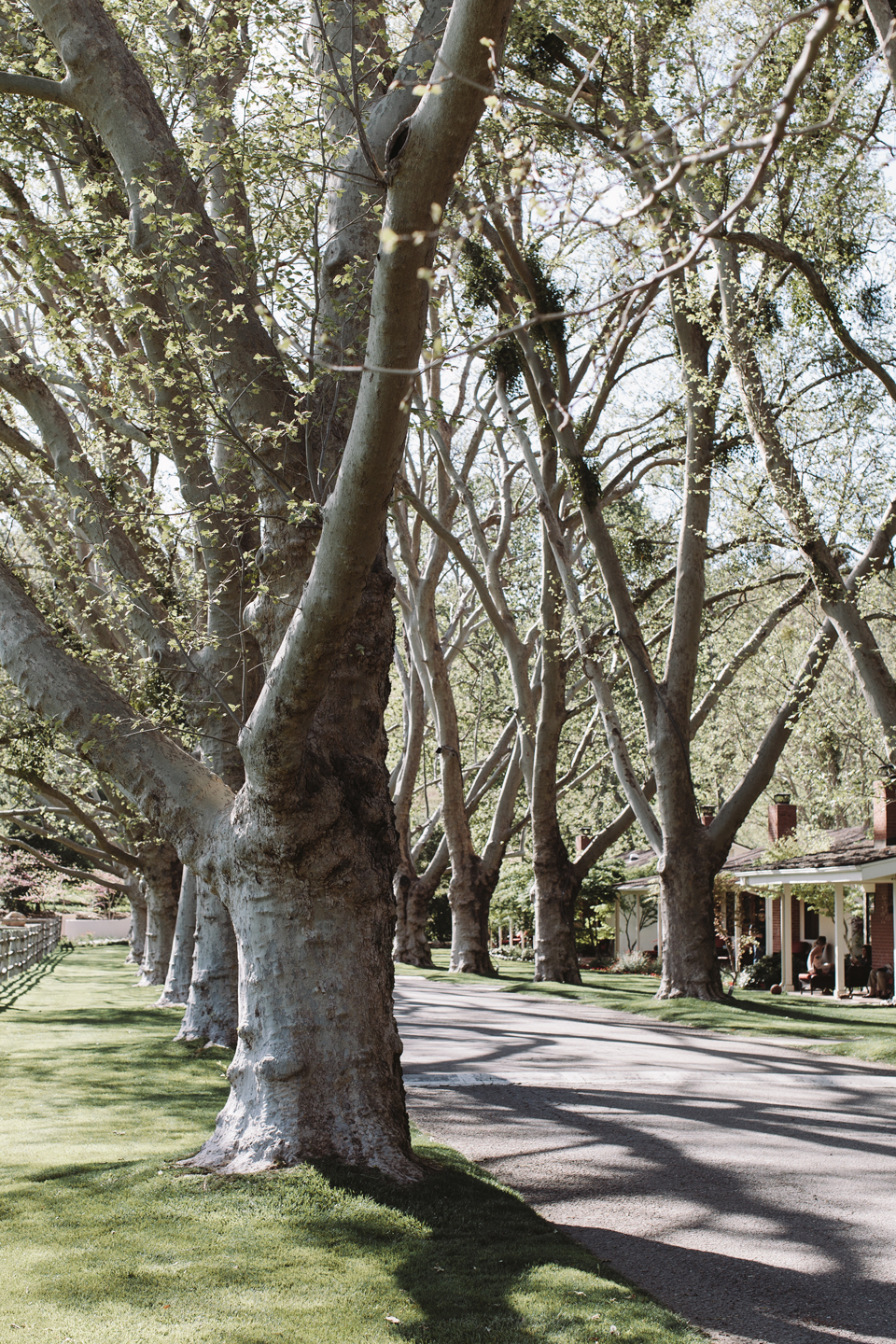 the perfect family getaway: alisal ranch in santa ynez