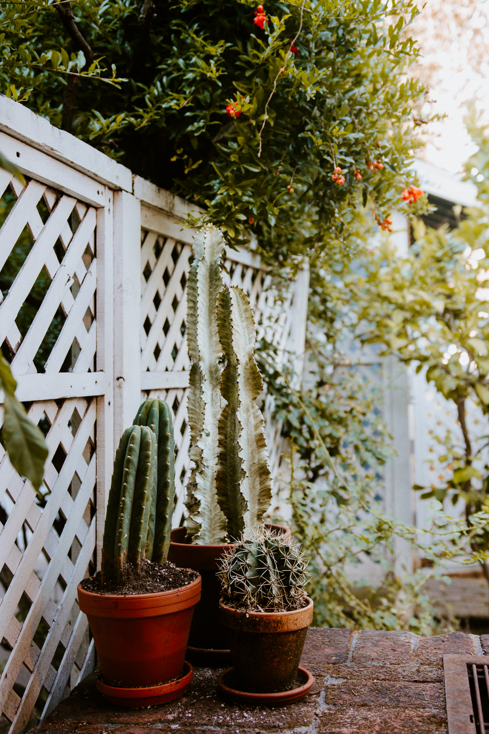 Summer Ready | New Backyard Patio Set