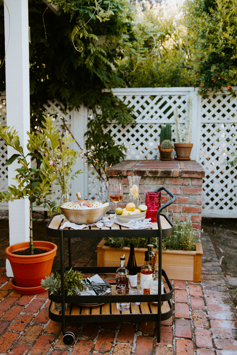 Summer Ready | New Backyard Patio Set and Bar Cart