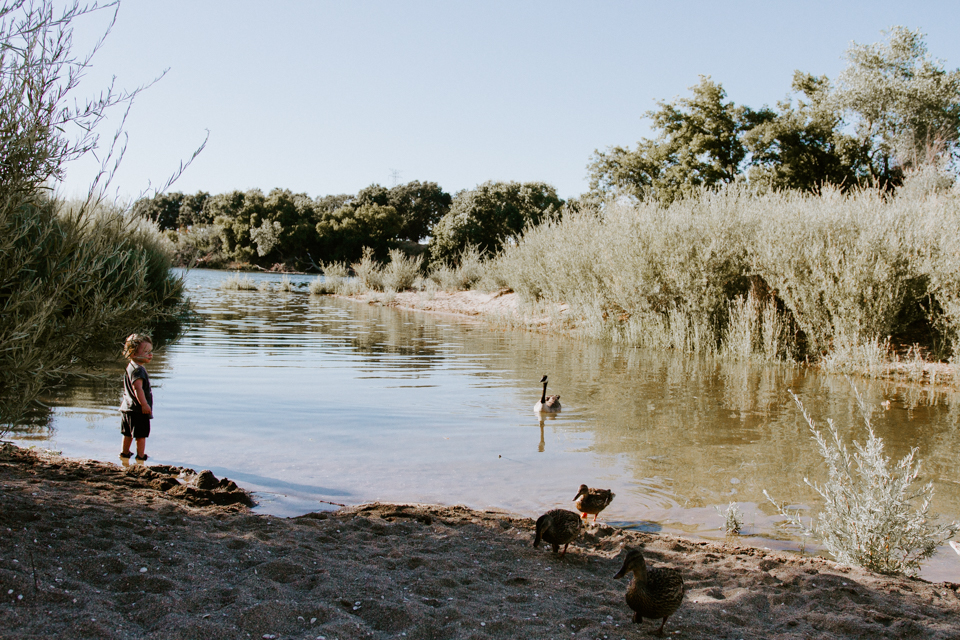 A natural bug repellent mixing lavender and lemon essential oils...