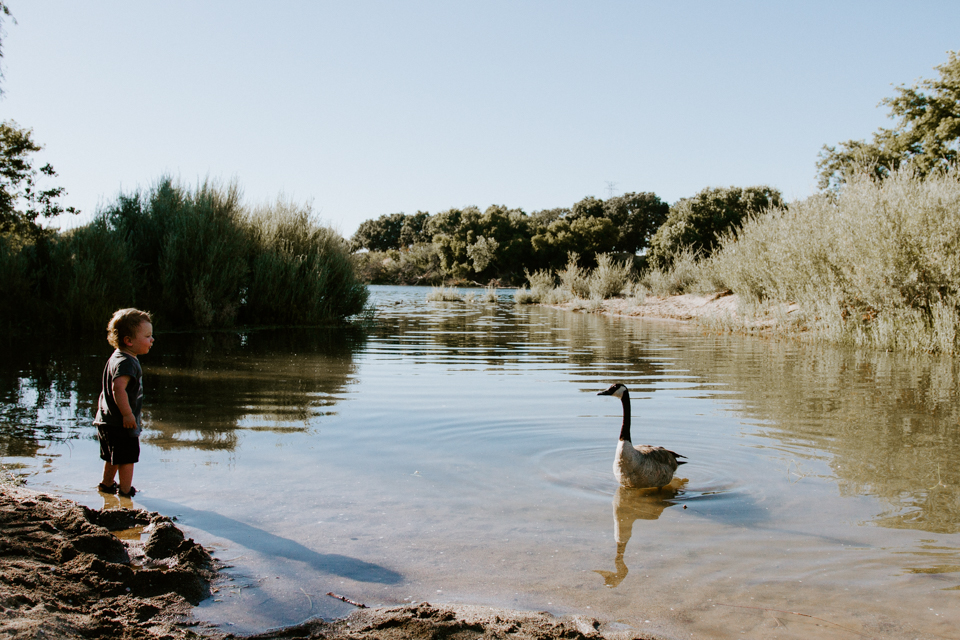 A natural bug repellent mixing lavender and lemon essential oils...