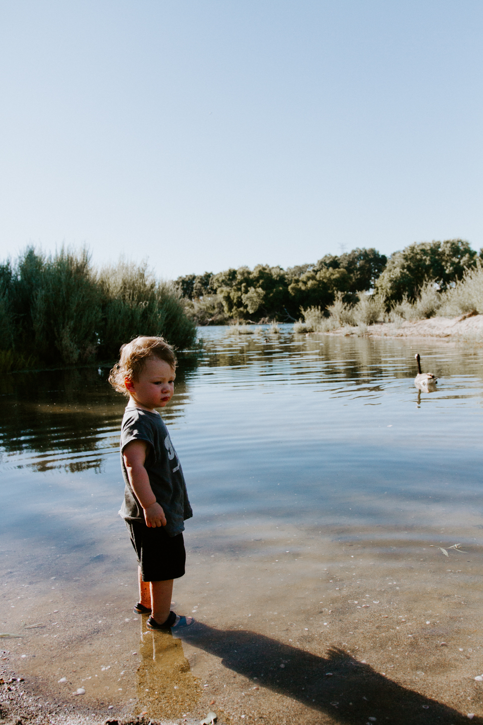 A natural bug repellent mixing lavender and lemon essential oils...