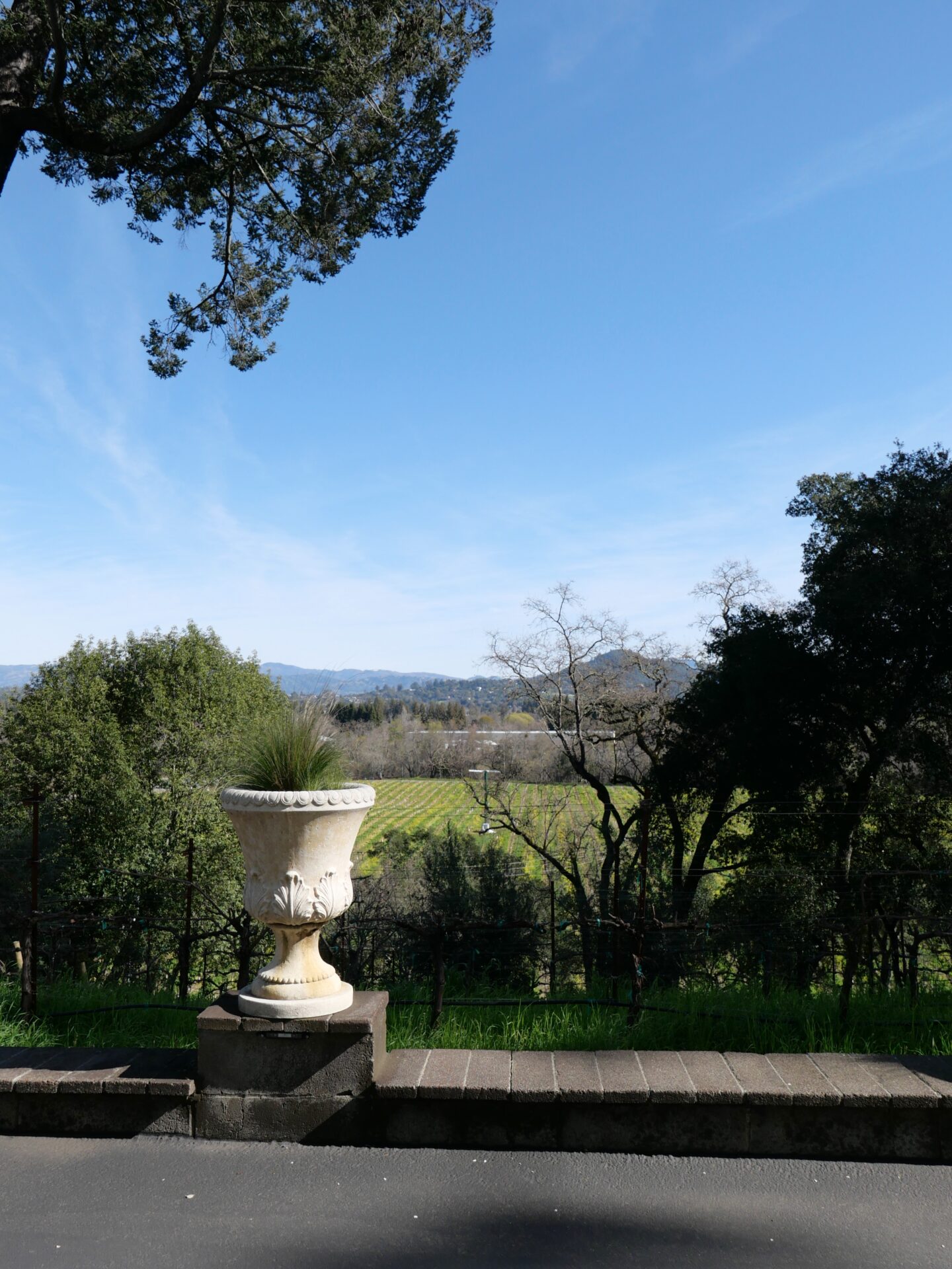 Overlooking the vineyard views at The Madrona Inn in Healdsburg.