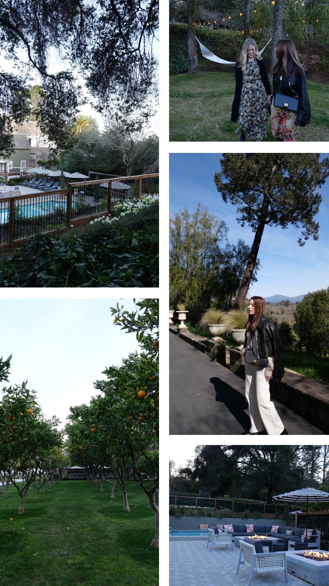 Images from our stay at the charming Madrona Inn in Healdsburg. On the grounds and in the orange grove.